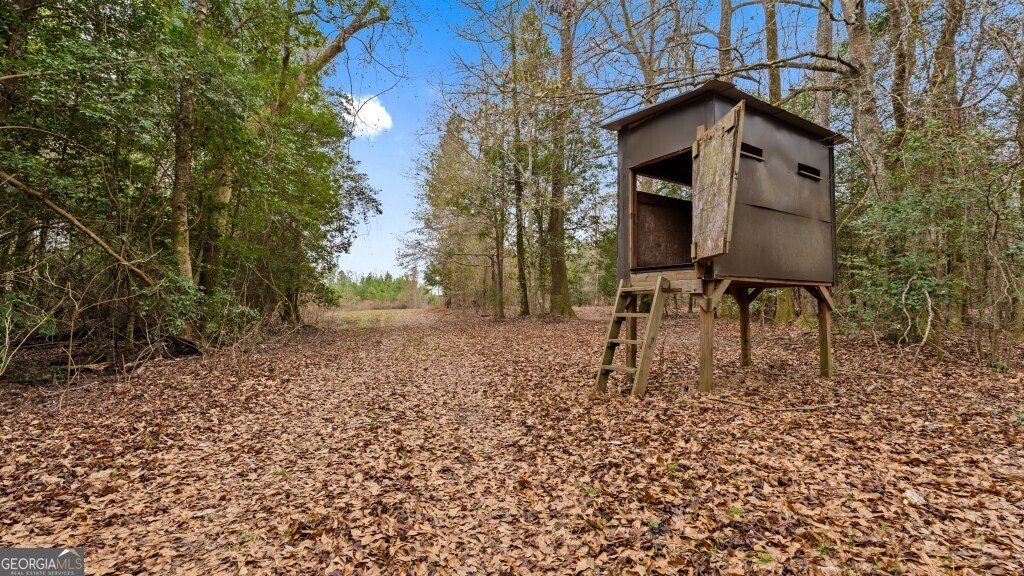 0 Mead Rd & Cemetery Road Oglethorpe, GA 31041 - Photo 17 of 26 a front view of a house with a yard