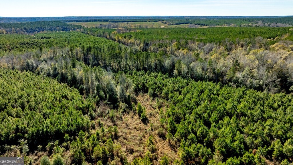 0 Mead Rd & Cemetery Road Oglethorpe, GA 31041 - Photo 19 of 26 a view of a lush green forest with houses
