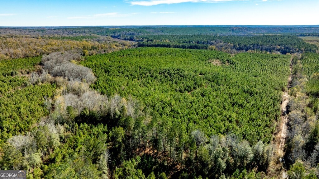 0 Mead Rd & Cemetery Road Oglethorpe, GA 31041 - Photo 2 of 26 a view of a city