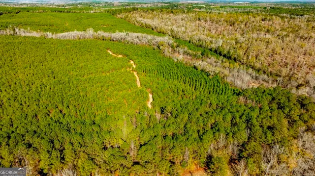 a view of a lush green field