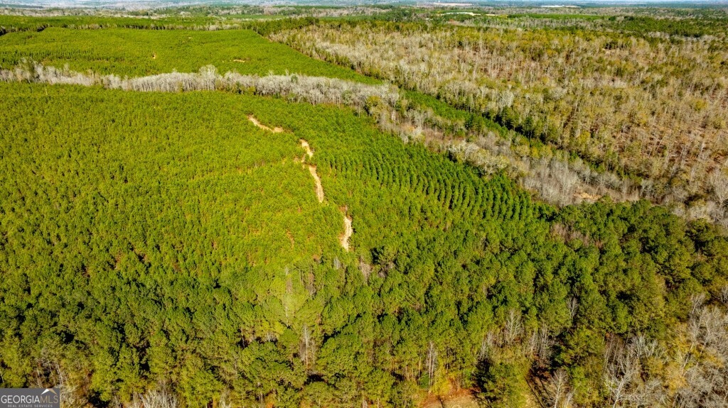 0 Mead Rd & Cemetery Road Oglethorpe, GA 31041 - Photo 21 of 26 a view of a yard with an outdoor space