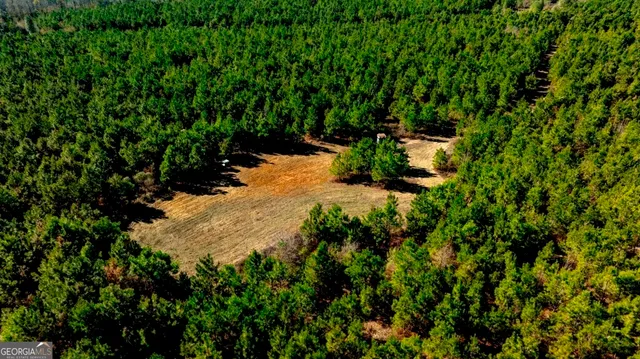 an aerial view of residential houses with outdoor space and trees