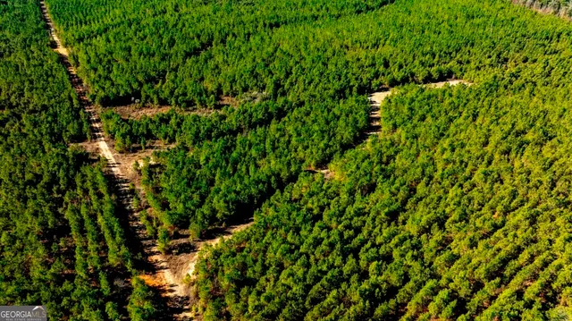 a view of a green field