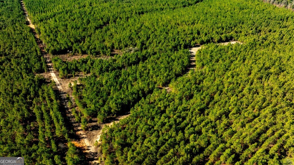 0 Mead Rd & Cemetery Road Oglethorpe, GA 31041 - Photo 23 of 26 a view of a lush green field