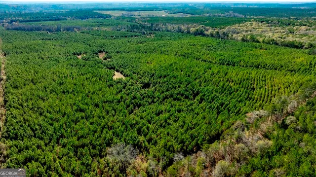 $815,100 | 0 Mead Rd & Cemetery Road, Oglethorpe, GA 31041