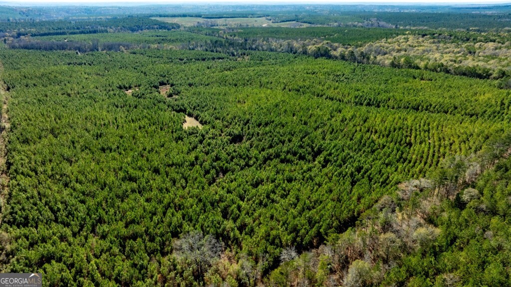 0 Mead Rd & Cemetery Road Oglethorpe, GA 31041 - Photo 25 of 26 a view of a green field