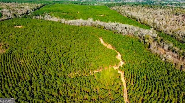 $815,100 | 0 Mead Rd & Cemetery Road, Oglethorpe, GA 31041