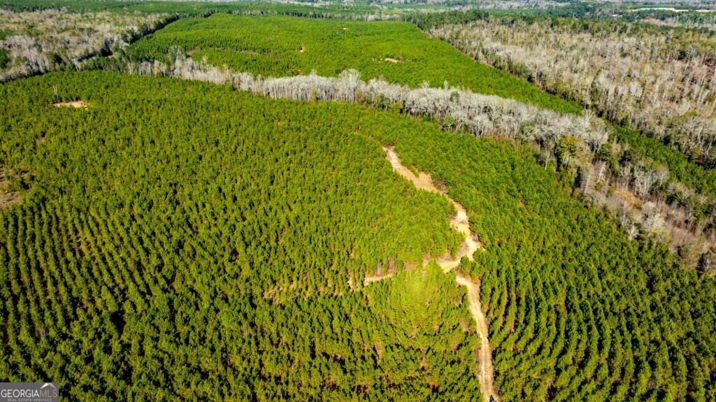 0 Mead Rd & Cemetery Road Oglethorpe, GA 31041 - Photo 26 of 26 a view of a yard