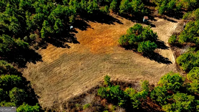 a view of a tree with a yard