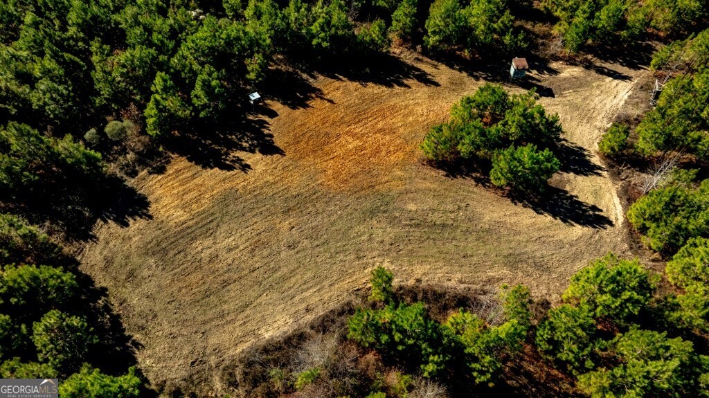 0 Mead Rd & Cemetery Road Oglethorpe, GA 31041 - Photo 3 of 26 a view of a tree with a yard