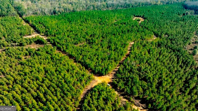 a view of a lush green space