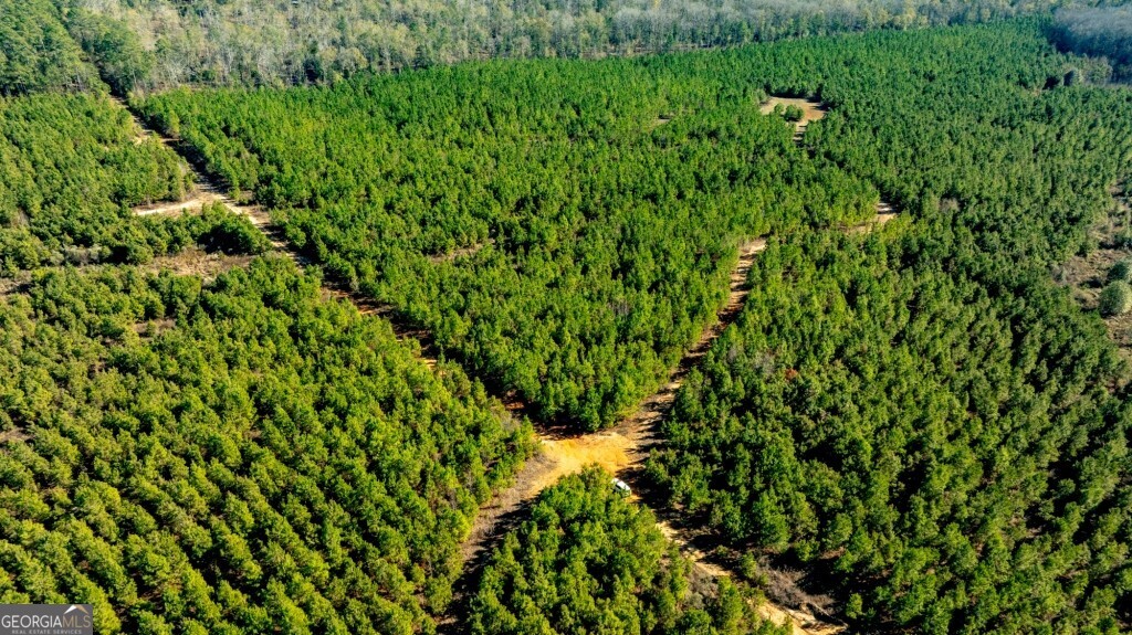 0 Mead Rd & Cemetery Road Oglethorpe, GA 31041 - Photo 5 of 26 a view of a lush green space