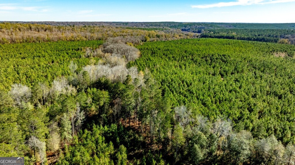 0 Mead Rd & Cemetery Road Oglethorpe, GA 31041 - Photo 9 of 26 a view of a lush green space