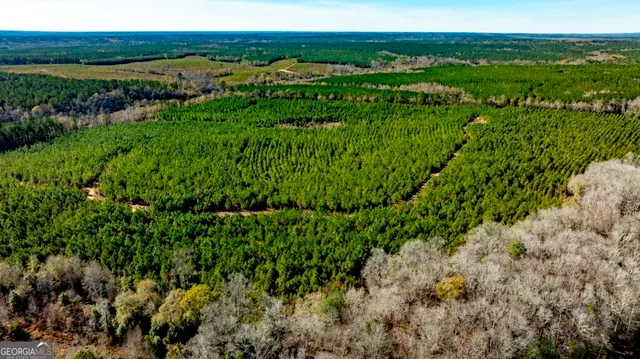 a view of a lush green space with sea