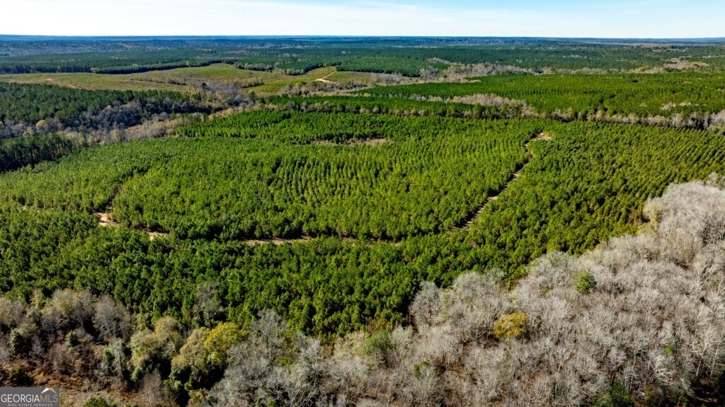 0 Mead Rd & Cemetery Road Oglethorpe, GA 31041 - Photo 10 of 26 a view of a lush green space with sea