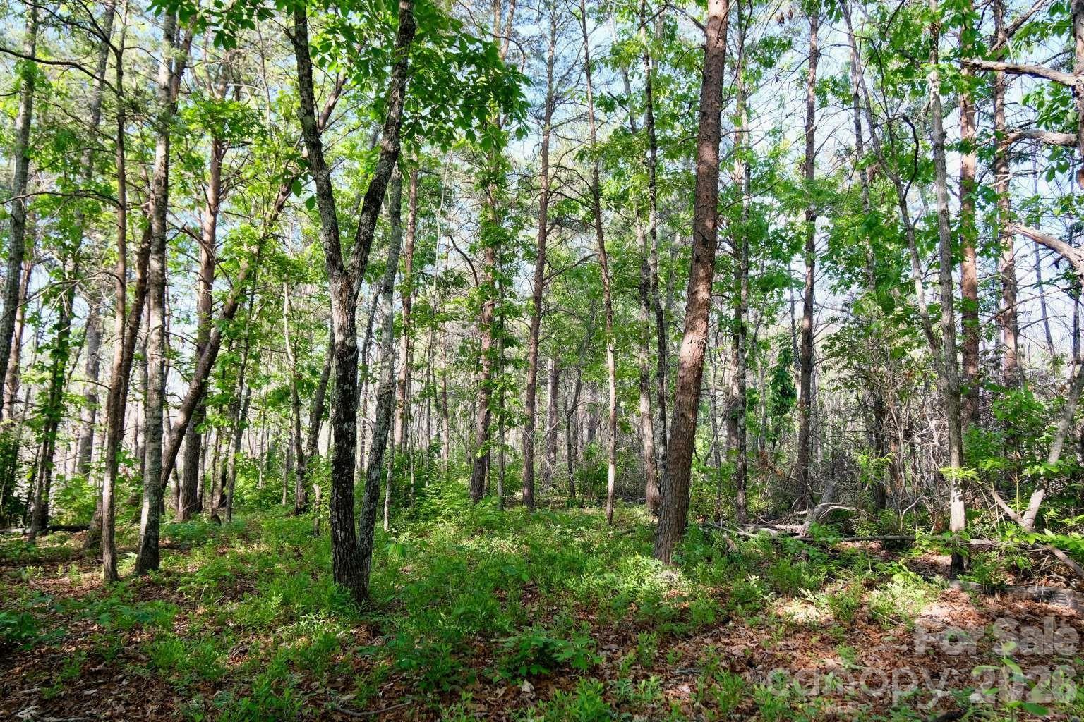 3815 Bat Cave Road Old Fort, NC 28762 - Photo 38 of 45