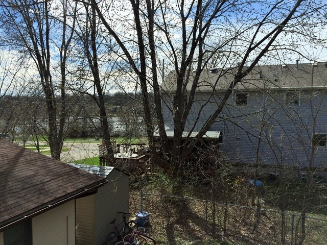 115 East Madison Street Batavia, IL 60510 - Photo 21 of 23 a view of a backyard with large trees