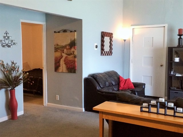 115 East Madison Street Batavia, IL 60510 - Photo 3 of 23 a living room with furniture and a flat screen tv