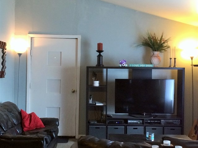 115 East Madison Street Batavia, IL 60510 - Photo 6 of 23 a living room with furniture and a flat screen tv