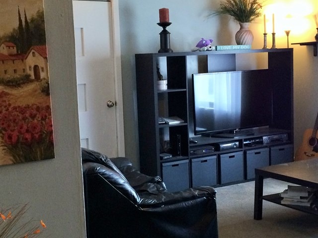 115 East Madison Street Batavia, IL 60510 - Photo 7 of 23 a living room with furniture and a flat screen tv