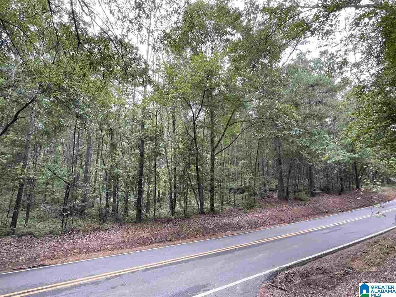 0 Hebb Road, Unit 1 Wilsonville, AL 35186 - Photo 1 of 1 Gallery Image 1