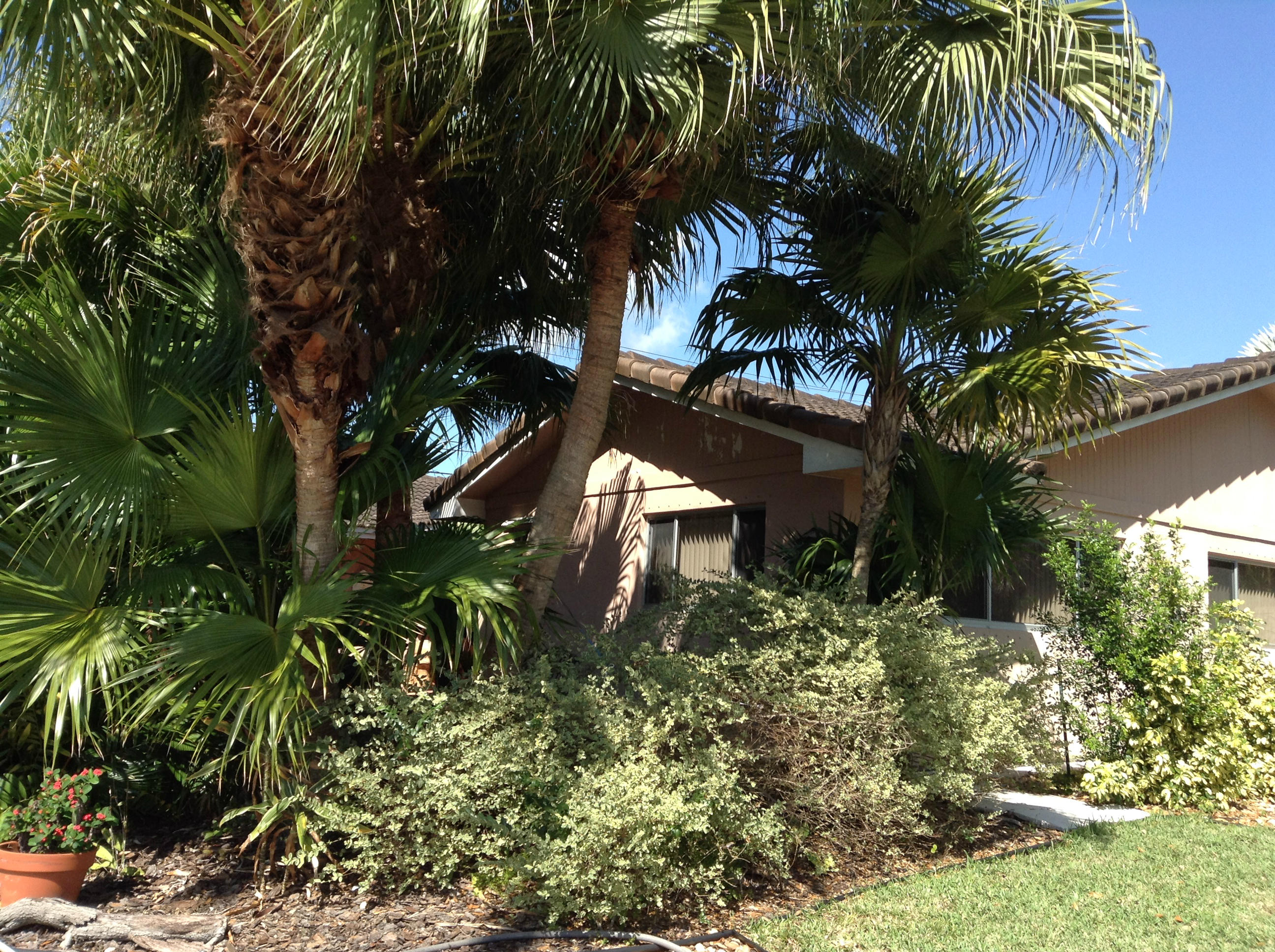 1501 Southwest 4th Street Boca Raton, FL 33486 - Photo 8 of 31 securedownload
