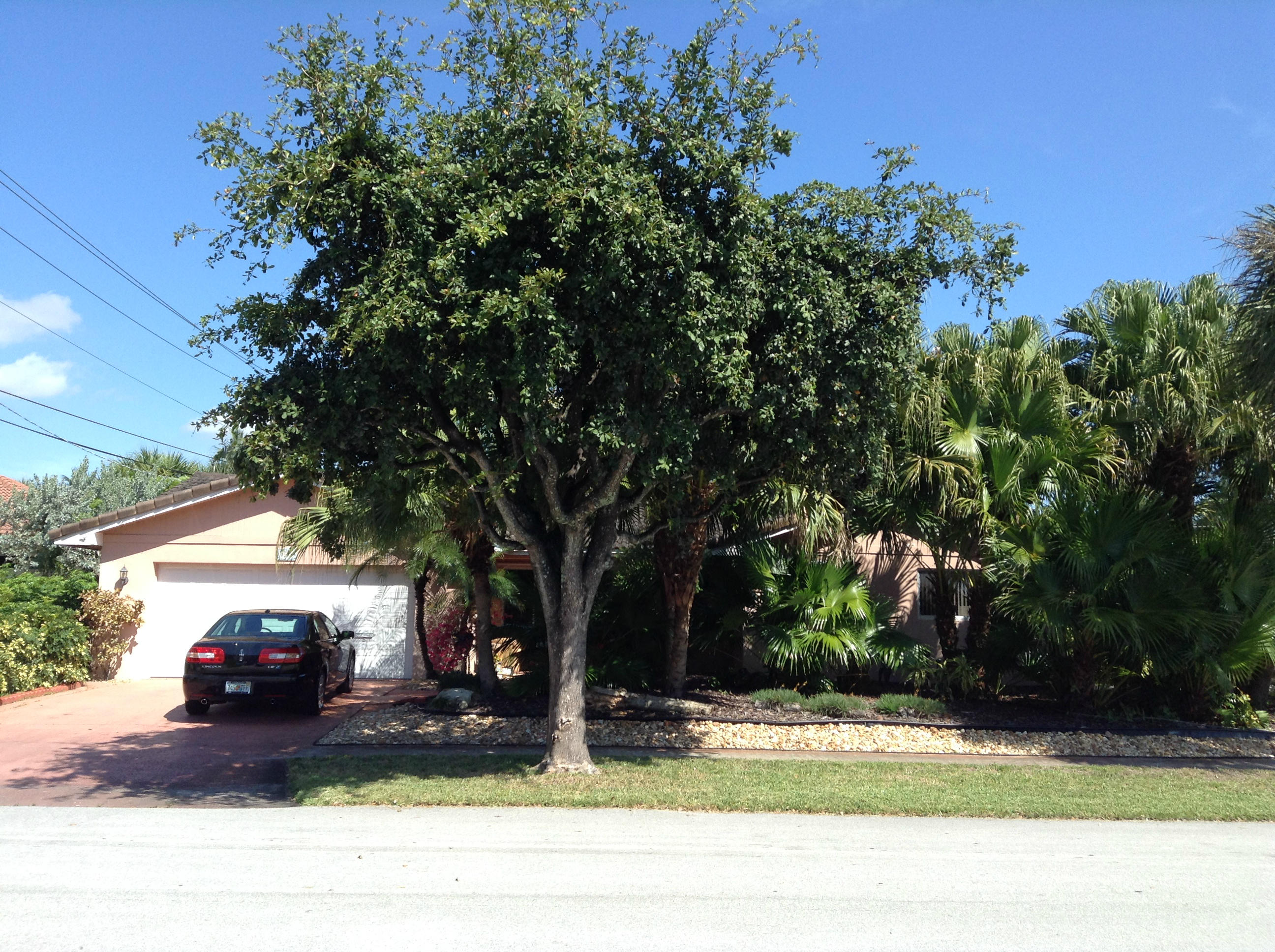 1501 Southwest 4th Street Boca Raton, FL 33486 - Photo 10 of 31 securedownload2