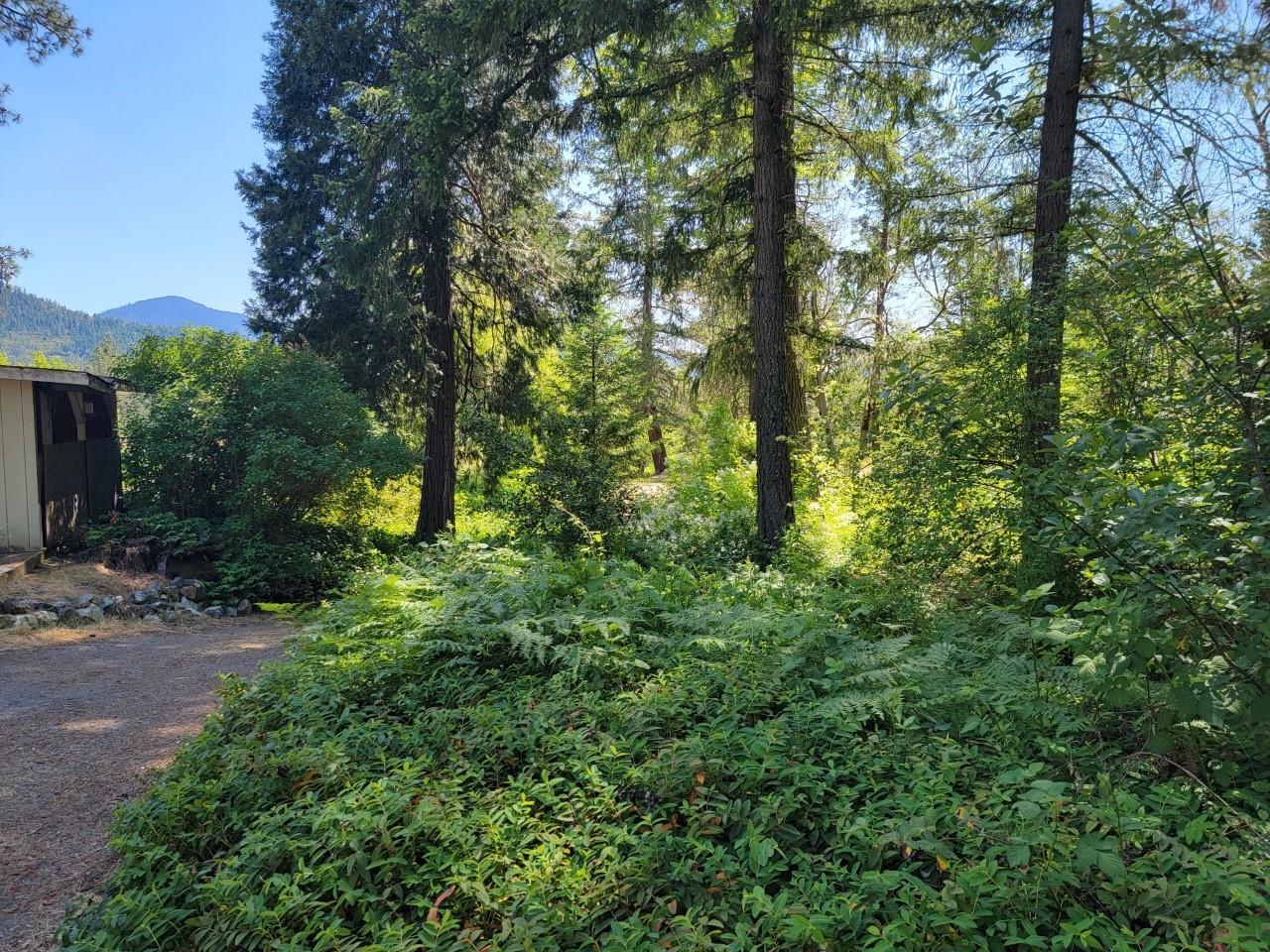 1611 Timberridge Road Grants Pass, OR 97527 - Photo 3 of 12 1611 trees