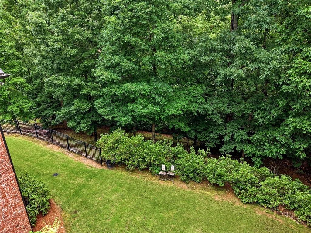 1540 Bramble Bush Way Suwanee, GA 30024 - Photo 58 of 68