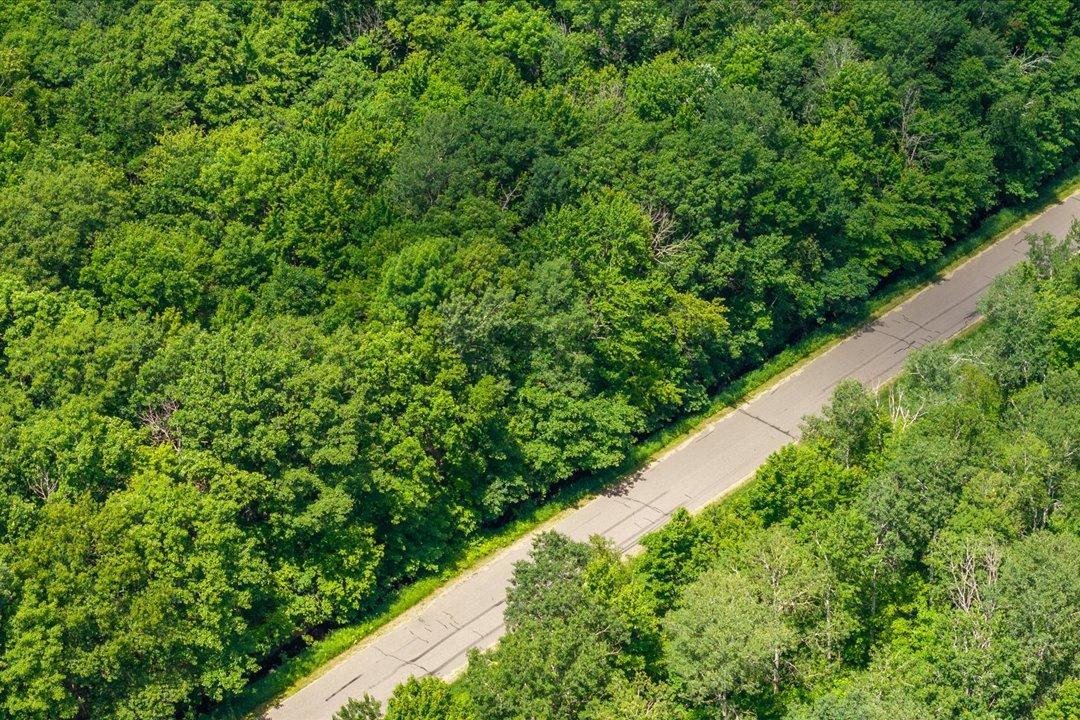 Tract B Maghan Road Deerwood, MN 56444 - Photo 4 of 10