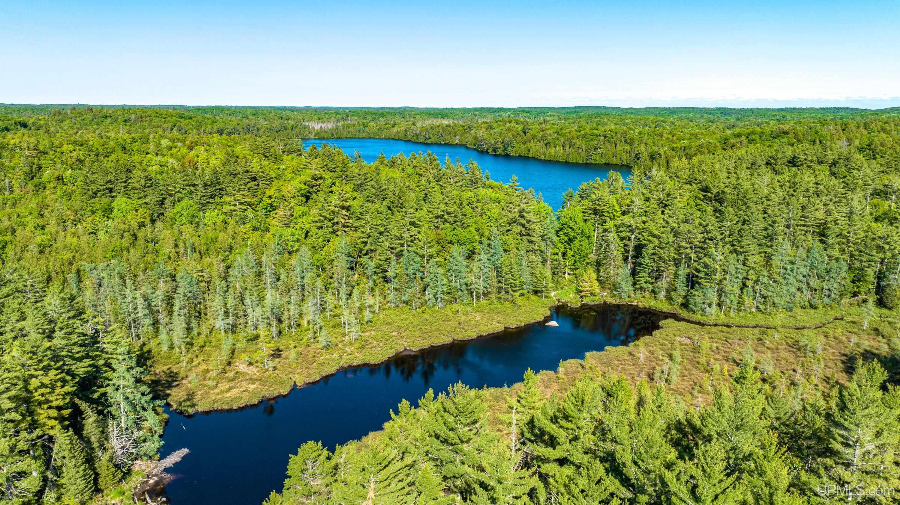 Tbd Tbd Dommer Lake Road Michigamme, MI 49861 - Photo 25 of 25