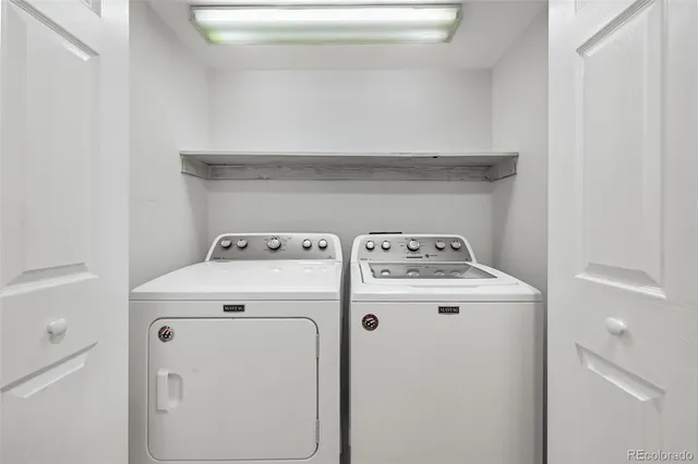 a view of a garden with a bench