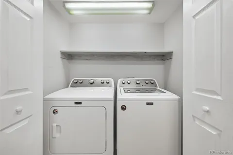 a view of a garden with a bench