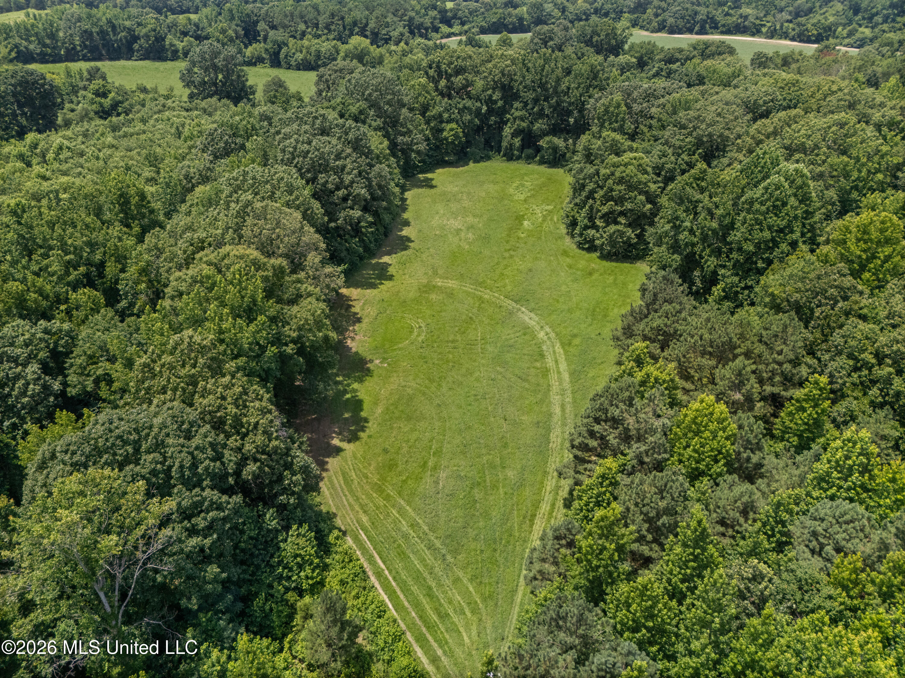 0 Freeman Drive Coldwater, MS 38618 - Photo 6 of 15 dji_20260701124359_0090_d_print