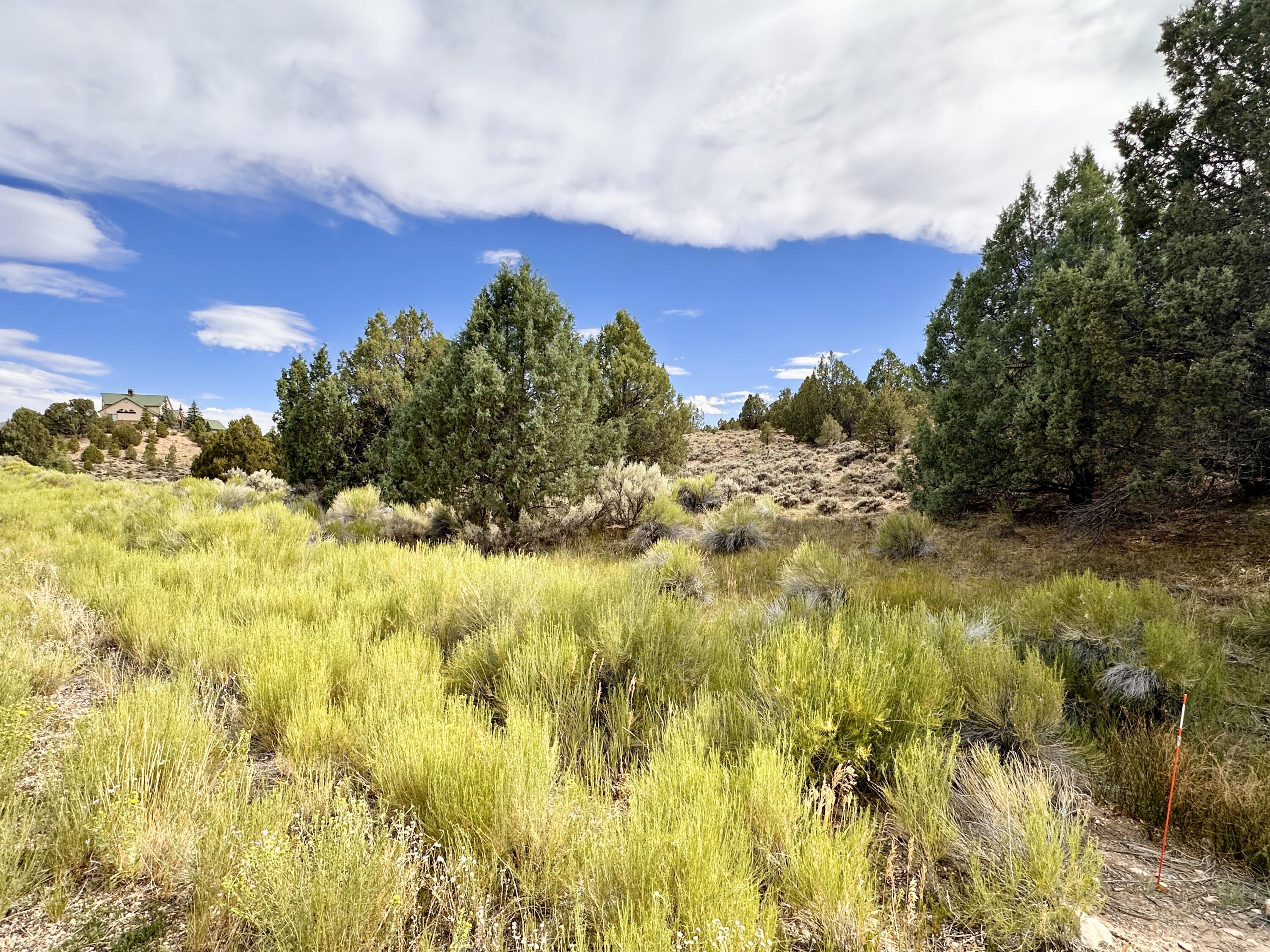 1730 Eagle Ridge Circle Hatch, UT 84735 - Photo 11 of 15 IMG_0619 2