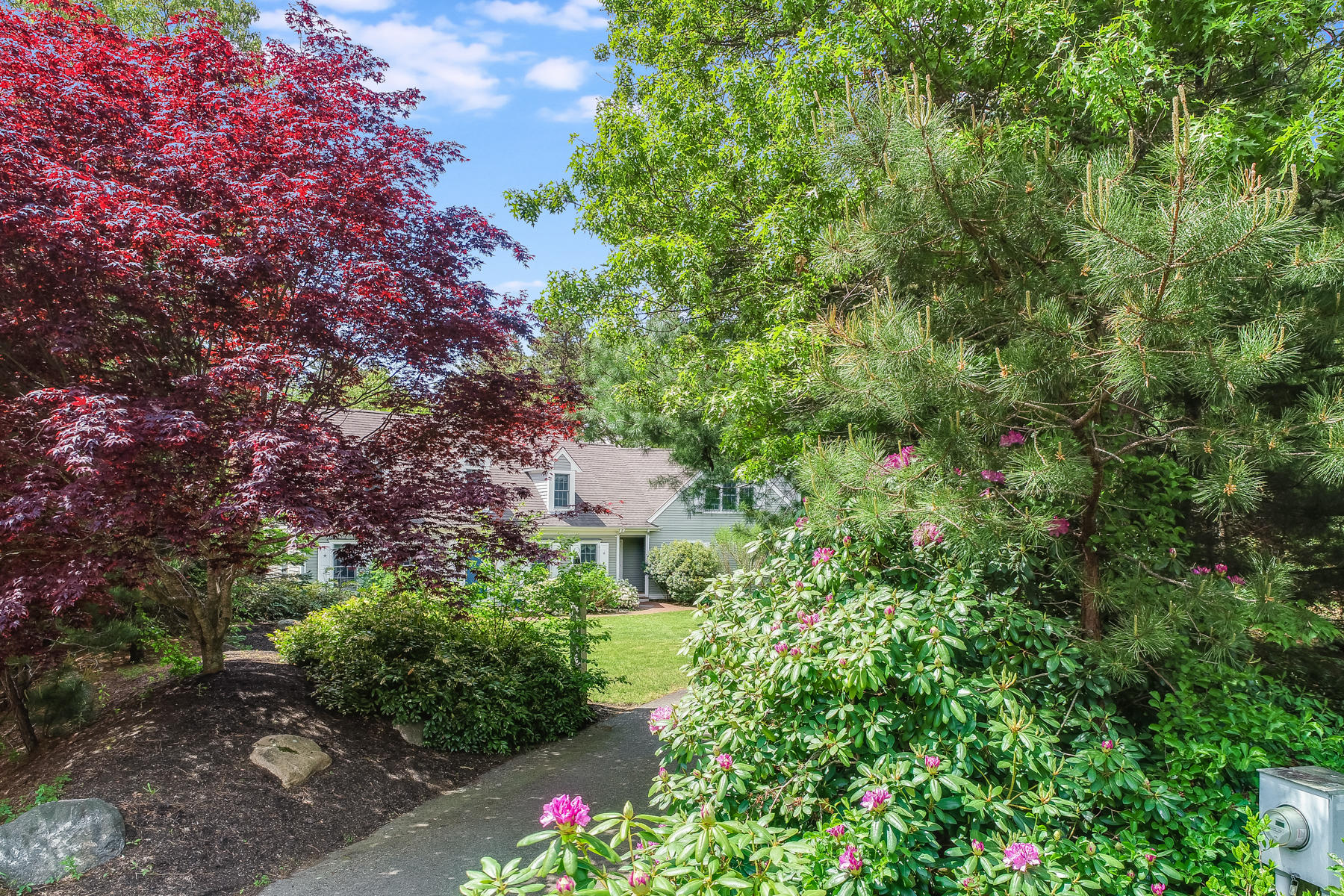 117 Wild Goose Way Centerville, MA 02632 - Photo 47 of 51 a picture of trees