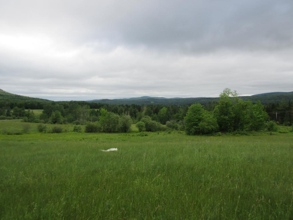 365 Mines Road Lowell, VT 05847 - Photo 3 of 21 Gallery Image 3