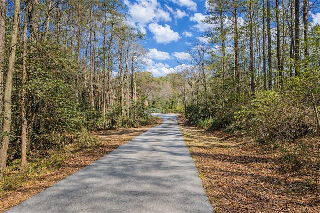 3420 Callie Still Road Lawrenceville, GA 30045 - Photo 60 of 62