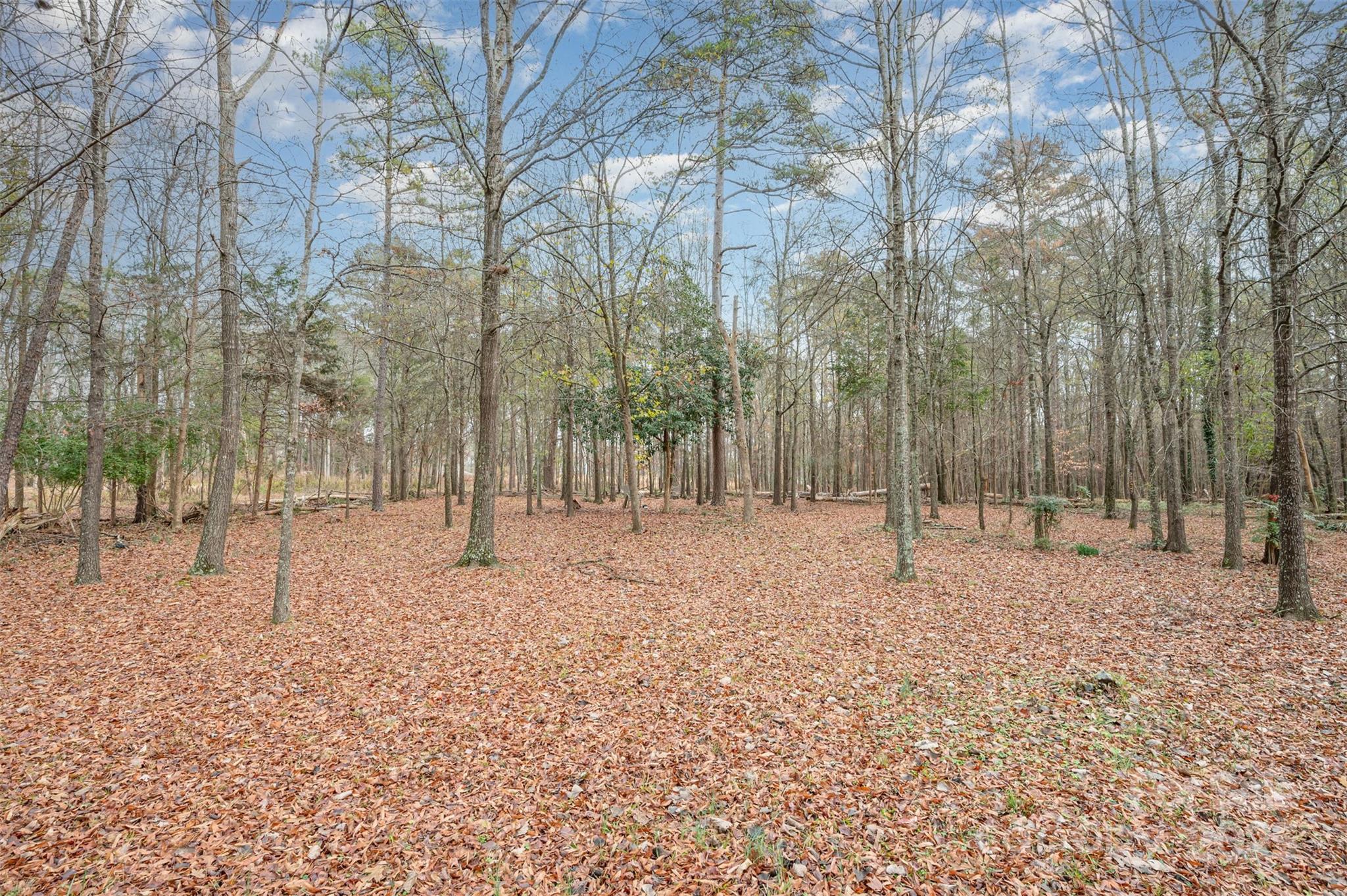 0 Simpson Circle Monroe, NC 28112 - Photo 21 of 22