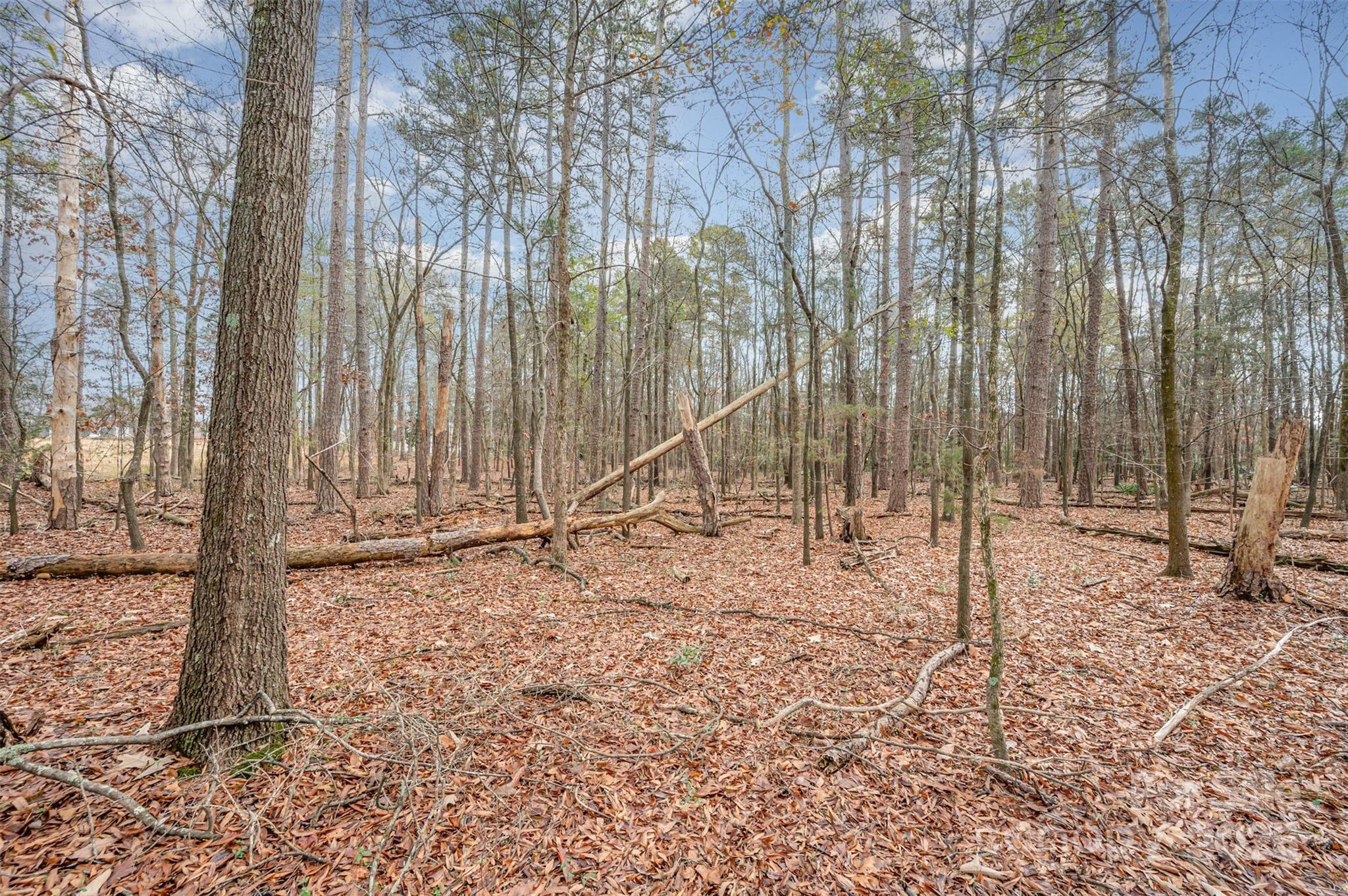 0 Simpson Circle Monroe, NC 28112 - Photo 22 of 22