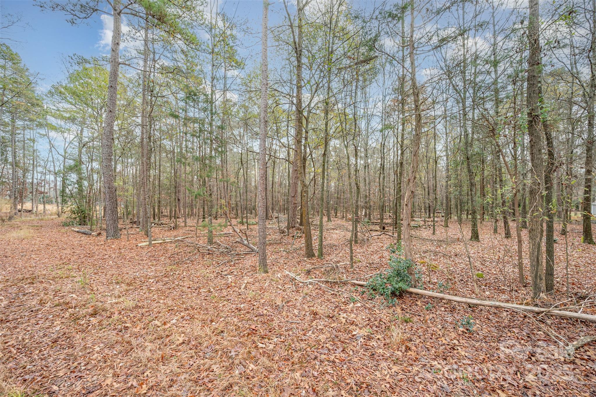 0 Simpson Circle Monroe, NC 28112 - Photo 4 of 22