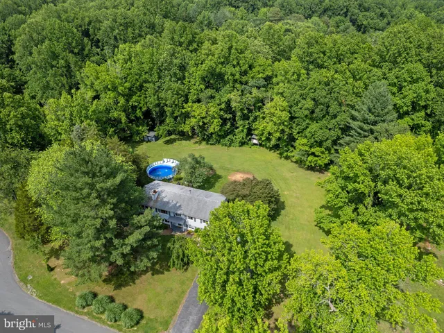 an aerial view of a trees with a yard