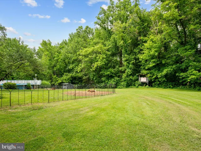 a view of a park with large trees