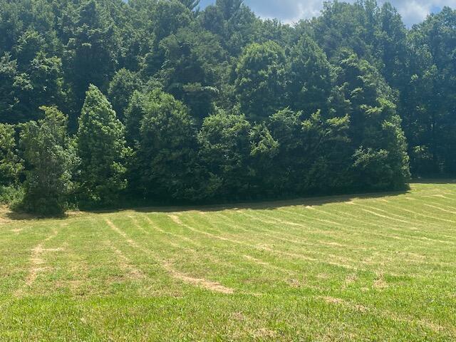 Tbd H Dry Creek Road Erwin, TN 37650 - Photo 1 of 1 H