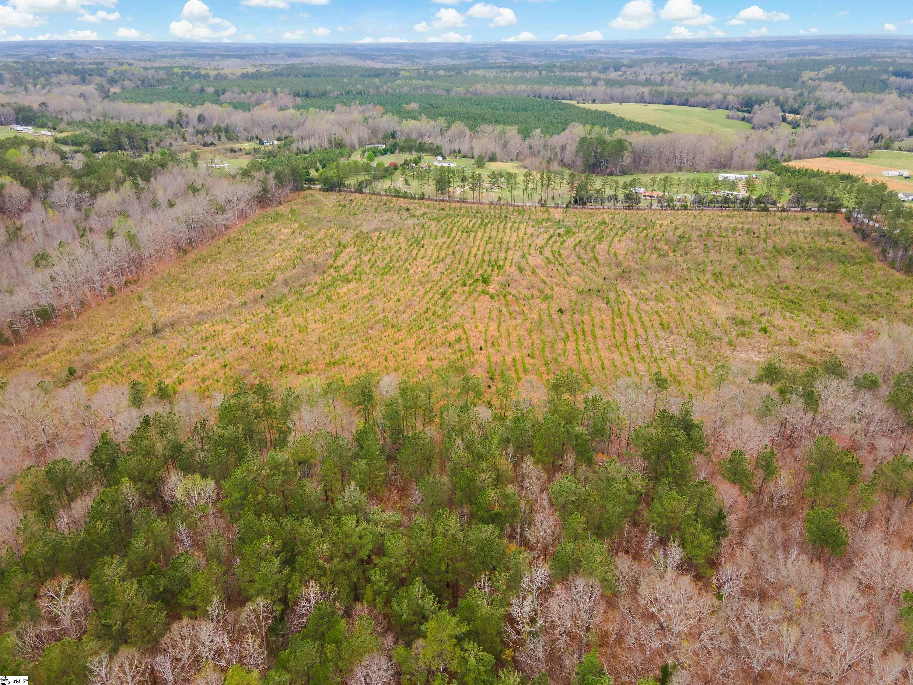 738 Lake Road, Unit LOT 4 Clinton, SC 29325 - Photo 11 of 12
