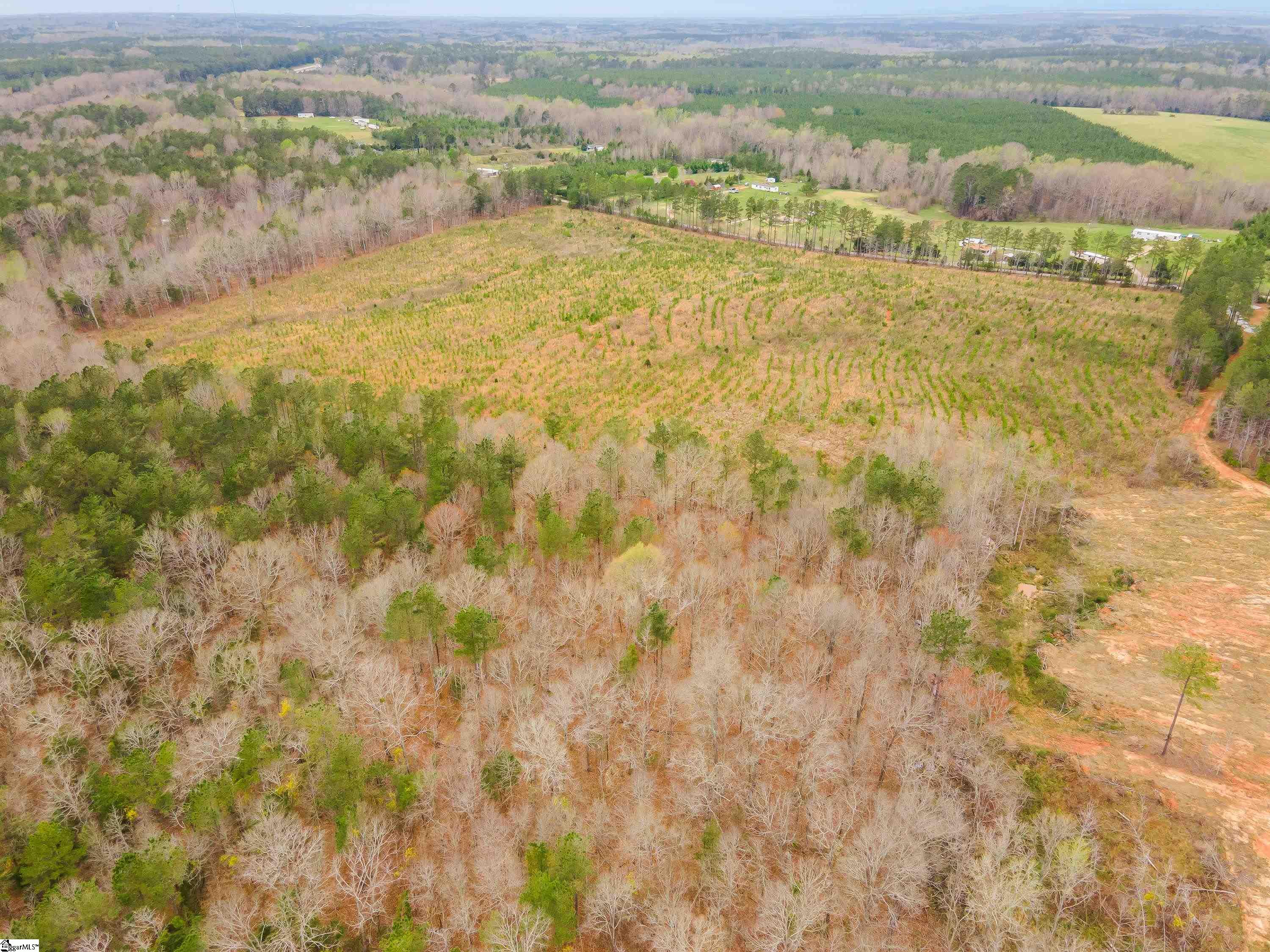 738 Lake Road, Unit LOT 4 Clinton, SC 29325 - Photo 8 of 12