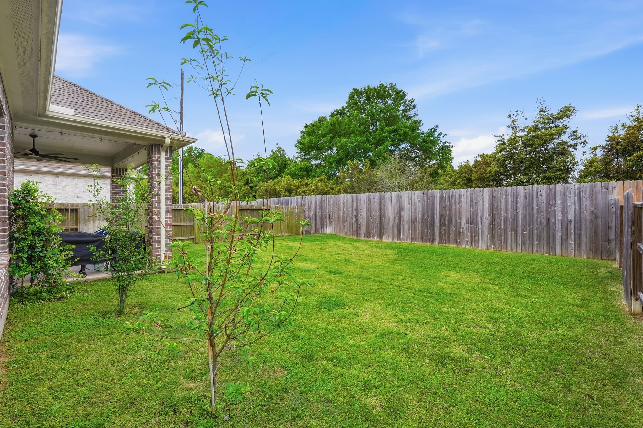 24423 Morningside Terrace Tomball, TX 77375 - Photo 10 of 47 a view of a garden with a slide