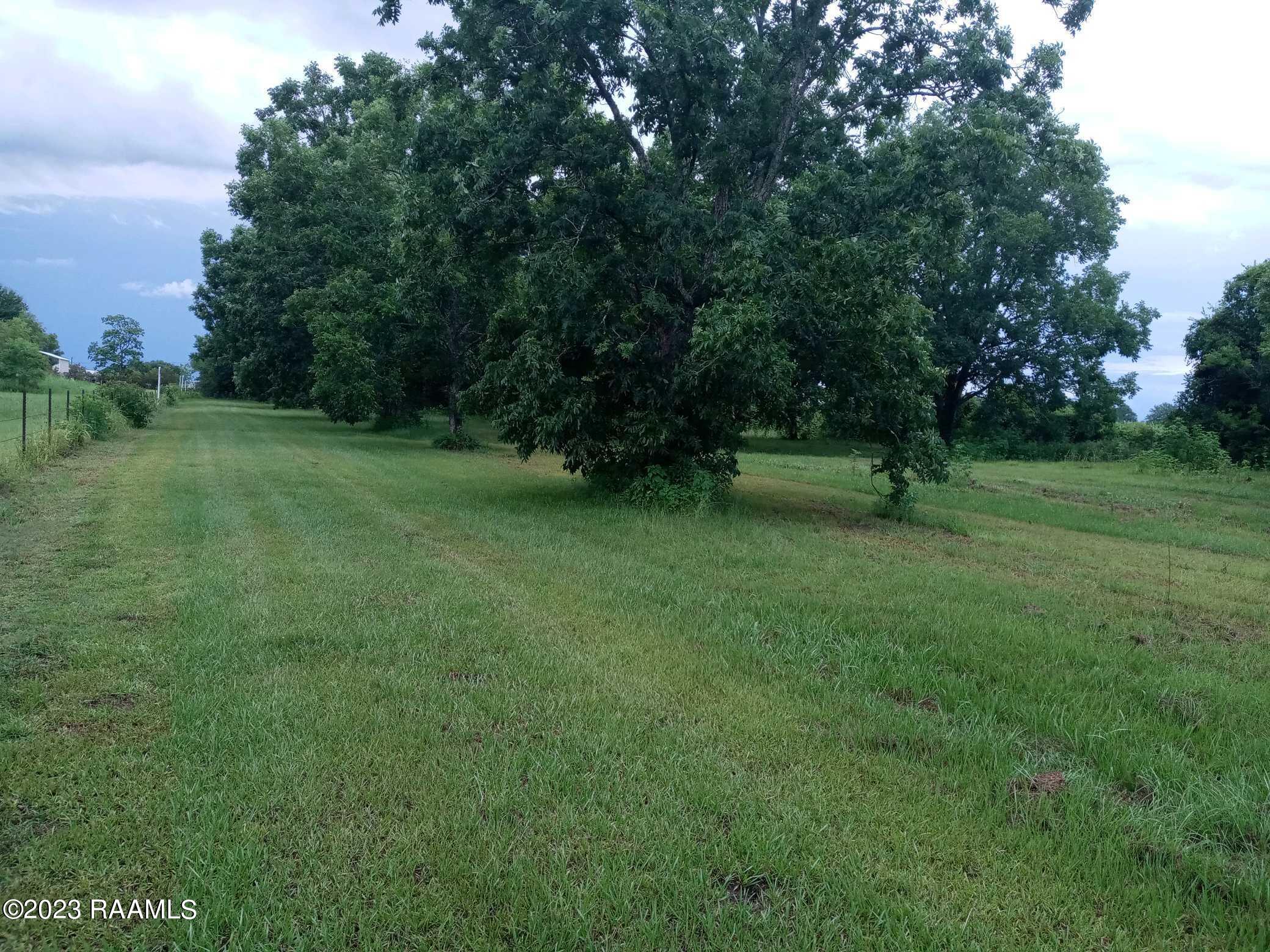 613 Ed Broussard Road New Iberia, LA 70563 - Photo 5 of 14 Gallery Image 5