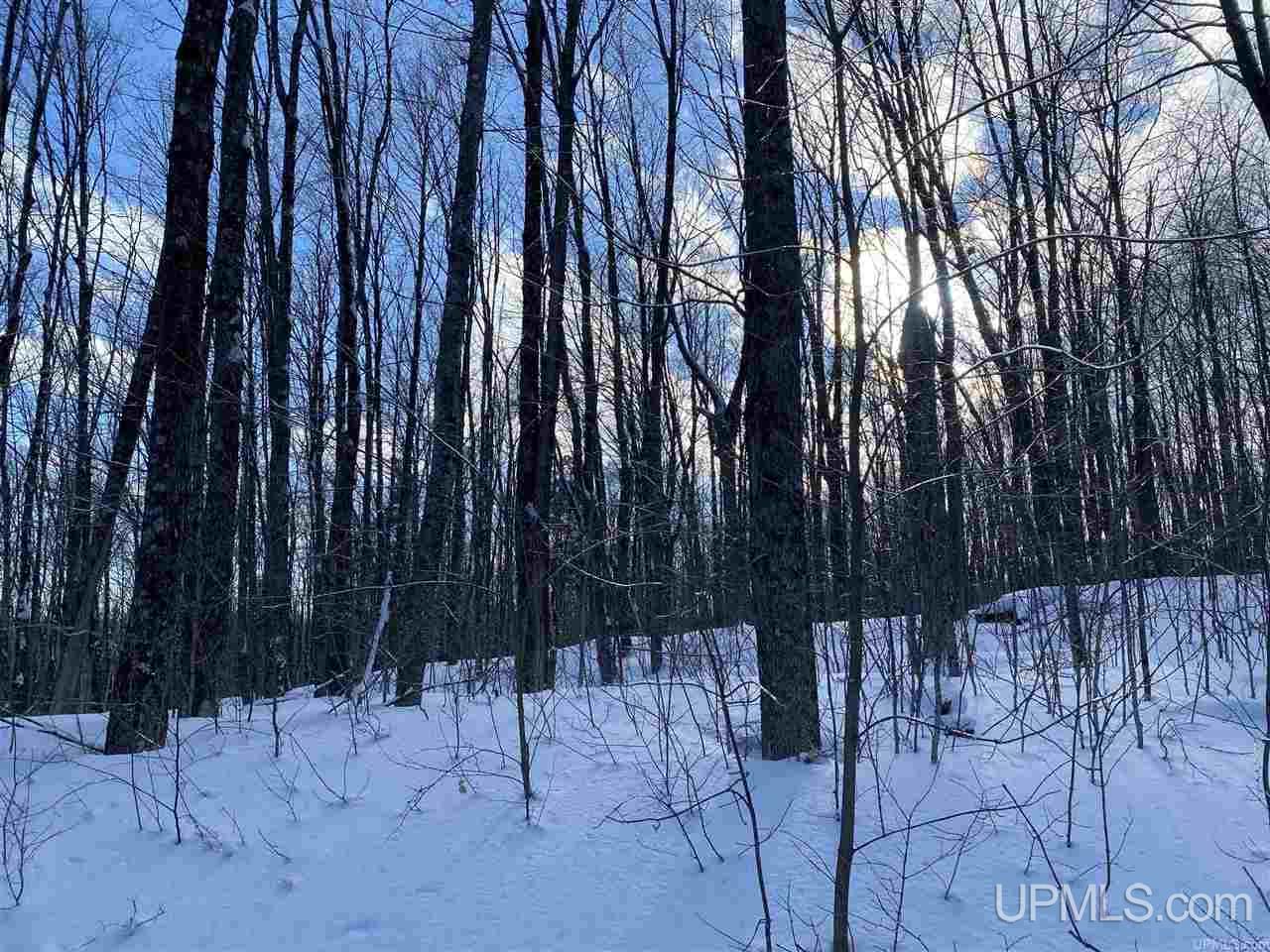 On On Chaney Cove Road, Unit LOT 1 Bessemer, MI 49911 - Photo 25 of 28