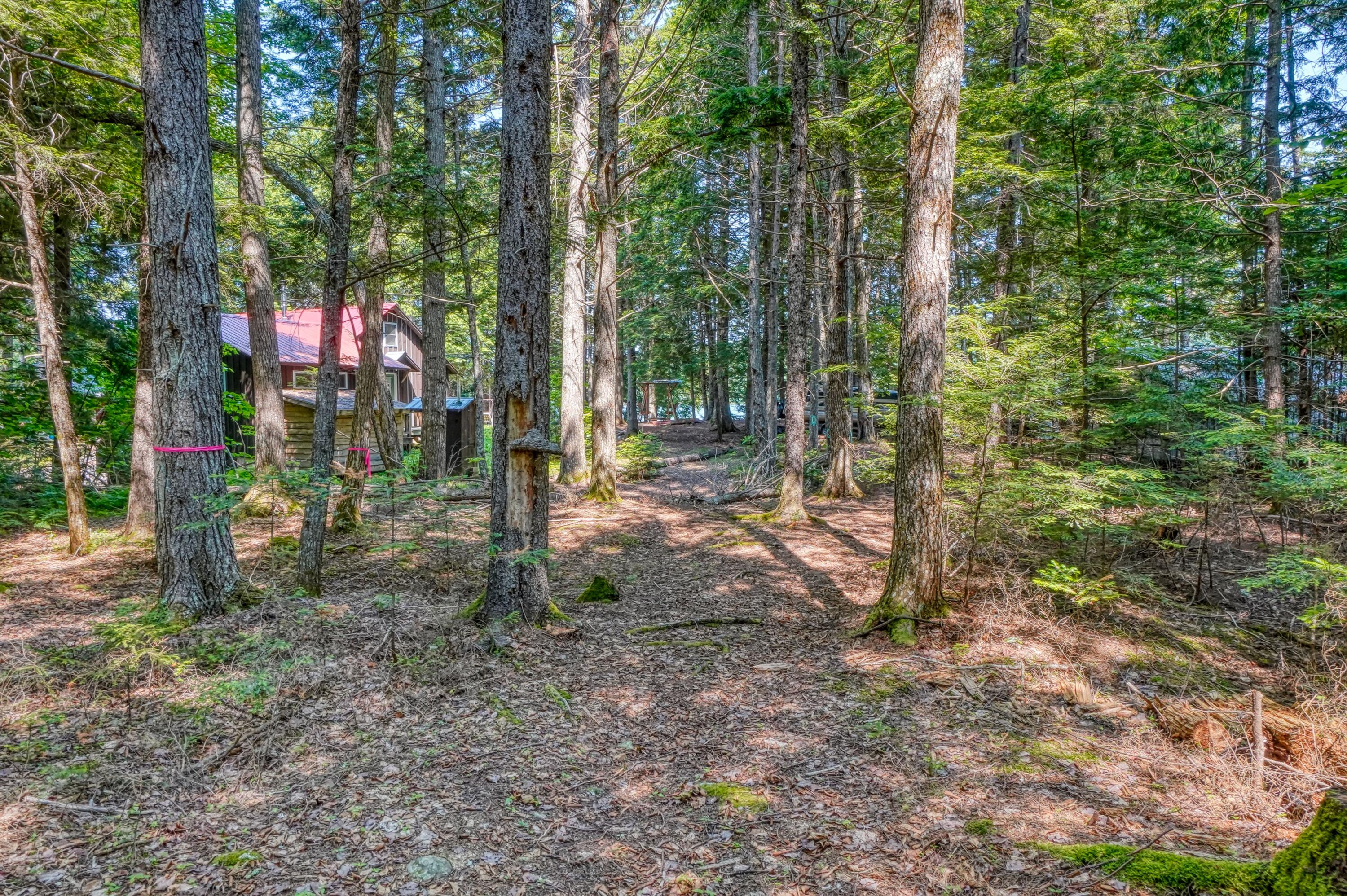 659 Sandy Beach Road Danforth, ME 04424 - Photo 20 of 27 View From Road